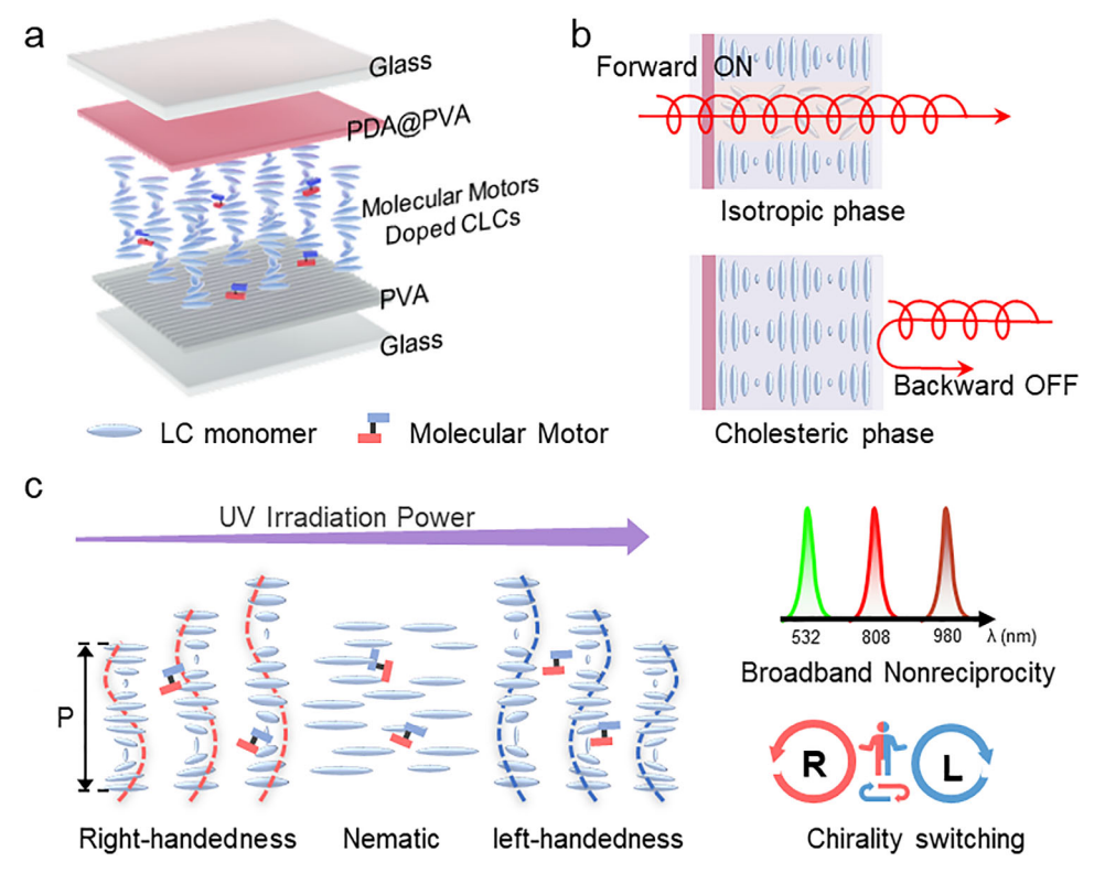 Wavelength- and Helicity-Reconfigurable Circularly Polarized Optical Diodes Enabled by Molecular Photoswitches